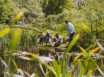 Pond dipping Pond dipping